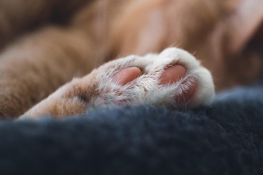 HSPが抱える睡眠障害とその原因による睡眠不足の対策は？