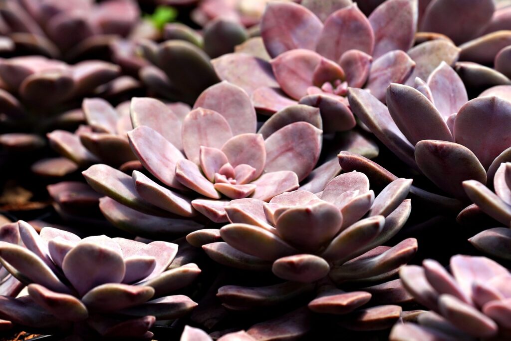 刺激に弱い人のための効果的な対処法は？